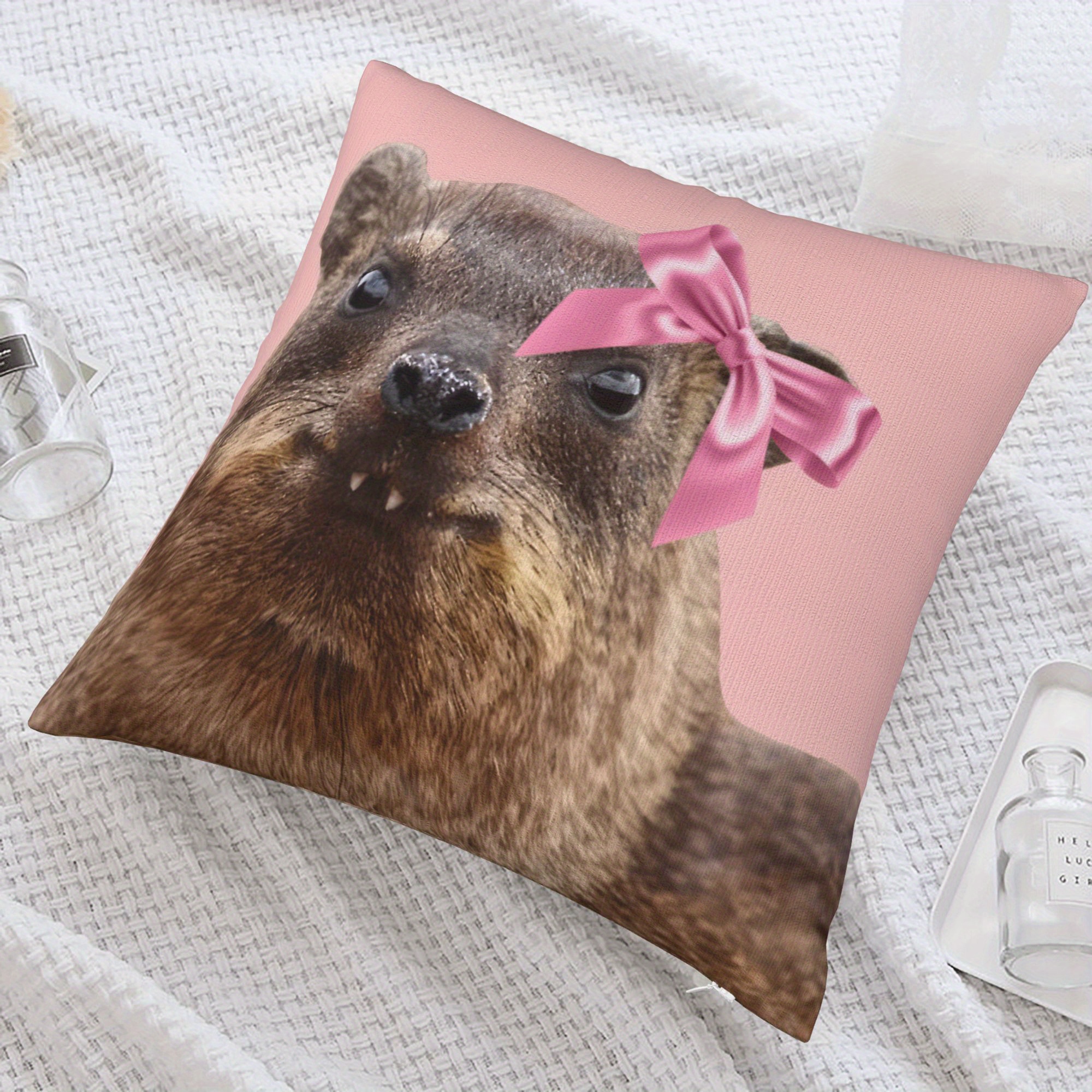 Cute Raccoon Pillowcase Nurser - đánh giá và giá Baby Nursery Cushion